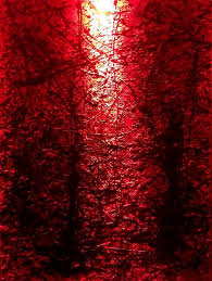 images?q=tbn:ANd9GcQVWoi9XfiFXFRIH_sLWjJFxR63MgO9G_47QXy3bsEXMy5g3Mb8ag