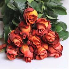 Need to send flowers to houston from the other part of the world? Cheap Flowers Cheaper Than Retail Price Buy Clothing Accessories And Lifestyle Products For Women Men
