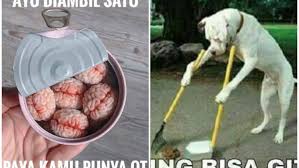 Cari gambar / meme lucu di blog ini. Biar Obrolan Makin Rame Balas Chat Temanmu Pakai 13 Meme Kocak Ini Aja Santuy Kan