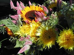 In hawaii, they are usually sold by the pound and run from $2 to $3 per pound, making each bunch around $1.50 to $2.00. Flower Cutting Tour Sold Out Bartlett S Farm