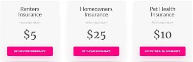 Lemonade offers renters, homeowners, pet, and life insurance. Lemonade Insurance Review 2021 Home Renters And Pet Insurance