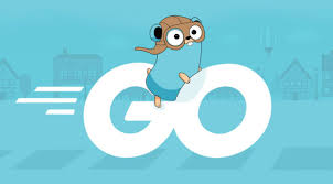 Introduction To Go Golang Programming Language Programming Languages Coding Procedural Programming