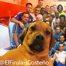 0 coincidencias con el tag andrea valdiri. El Firulais Costeno Home Facebook