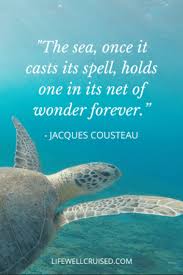 We did not find results for: 25 Inspirational Ocean Quotes For Those That Love The Sea Life Well Cruised