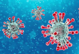 More than 14,500 dead globally due to coronavirus pandemic