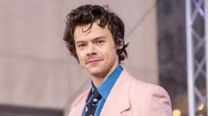 Harry styles doesn't act often, but when he does, you better believe it's taking place in the 1940s or '50s. Harry Styles Joins Olivia Wilde S Don T Worry Darling Variety