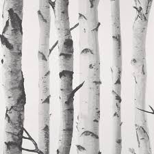 Black And White Birch Tree Wallpaper Birch Trees Wallpaper Double Roll Birch Tree Wallpaper Birch Tree Nursery Tree Wallpaper Nursery