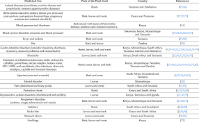 Image result for Lannea schweinfurthii