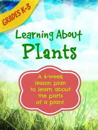 Free All About Plants 6 Week Lesson Plans Blessed Beyond A Doubt Plant Lessons Kindergarten Lesson Plans Science Lessons