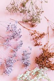 Diy Colorful Baby S Breath Wreath The House That Lars Built In 2020 Babys Breath Flowers Babys Breath Spray Paint Babys Breath