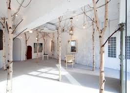 10 Ways To Pretend Winter Is Already Over Gardenista Tree Interior Salon Interior Salon Decor