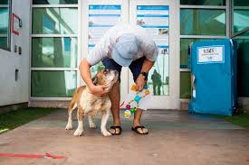 Maybe you would like to learn more about one of these? Pet Adoption Sites In The South Bay And Long Beach Areas Daily Breeze