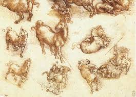 There are two clues to the identity of the m. What Leonardo Da Vinci Learned From Animals Artsy