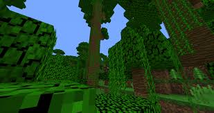 This seed only works for minecraft version 1.4 & 1.5. Minecraft Biomes Explained Jungle Biome