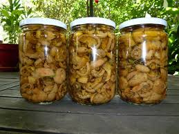 Champignons Au Vinaigre Et A L Huile Dans La Bulle De Manou Recettes De Cuisine Champignon Recette Recettes De Conserve