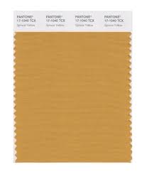 Buy Pantone Smart Swatch 17 1040 Spruce Yellow Pantone Yellow Pantone Pantone Swatches