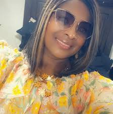 Disney Lorcana TCG card images and pixelborn installation