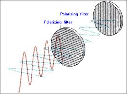 Light Website Polarization Teaching Science Physics High School What Is Energy