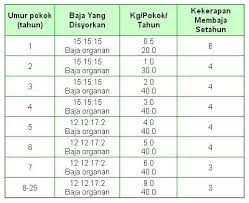 Shop, compare, and save more with biggo! Pembajaan Pokok Durian Yang Masih Durian Monthong Tani Facebook