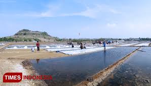 The java sea and the indian ocean border its northern and southern coasts, respectively, while the narrow bali strait to the east separates java from bali. Di Lamongan Dibangun Gedung Gudang Garam Nasional Times Indonesia