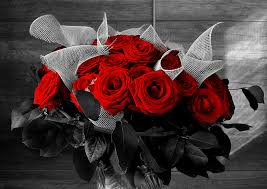 Black and white pictures of flowers roses. Royalty Free Photo Selective Color Of Red Rose Bouquet Pickpik