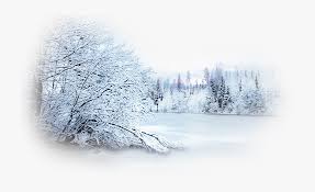 Winter Desktop Wallpaper Photography Snow Clip Art Forest Snowy Tree Transparent Background Hd Png Download Kindpng You can also upload and share your favorite full hd background wallpapers. winter desktop wallpaper photography