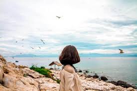 Phú yên được ban tặng cho một hệ thống cảnh quan thiên có 8 nhóm đất chính: Cáº£nh Ä'áº¹p Xá»© Hoa Vang Cá» Xanh Phu Yen Tuy Hoa Go