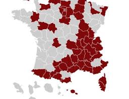 Asigurari sociale de sanatate (cass) 5.5%: Salariul Minim Pe OrÄƒ In Germania Majorat La 9 50 Euro Incepand Cu 1 Ianuarie 2021 Move Expert