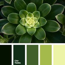 The combo library contains pages of yellow green color combinations (a.k.a, color schemes and color palettes) for you to choose from. Yellow Green Color Palette Ideas
