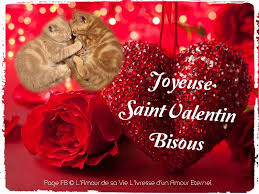 Trouvez votre match parfait avant la saint valentin ! á… 30 Saint Valentin Images Photos Et Illustrations Pour Facebook Bonnesimages