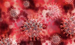 According to the scientists, due this mutation, there will be no bearing on the disease. è‹±åœ‹è®Šç¨®ç—…æ¯'å¼•ç™¼å°éŽ– æ–·èˆª é€ƒé›£æ½® ç—…æ¯'ç©¶ç«Ÿæ˜¯å¦å¦‚æ­¤ä»¤äººæ‡¼æ€• åº·å¥é›œèªŒ