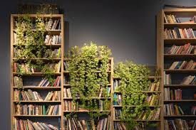 Huge collection, amazing choice, 100+ million high quality, affordable rf and rm images. Book Shelf Pictures Download Free Images On Unsplash