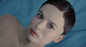 Die Haut, in der ich wohne