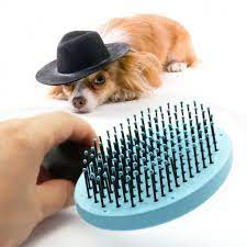 Useful Head Body Hair Brush For Dogs With Thin Pin Tag A Friend Who Would Love This Free Shipping Worldwide Buy One Here Https Gleepaw Com Useful