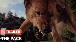 Baker plays a marine biologist who leads the humans in their fight. The Pack 1977 Trailer Hd Joe Don Baker Hope Alexander Willis Youtube