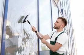 Maybe you would like to learn more about one of these? Why Is A Professional Window Cleaning Crucial