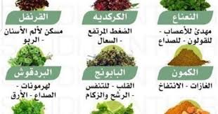 معلومات طبية يومية م ـ ـلومات صحية صحتك بتهمنا Health Facts Fitness Health Facts Food Health Facts