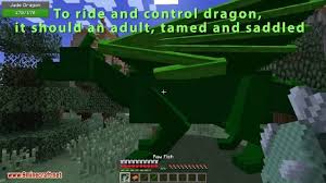 Now you can get some use out of the egg you win from defeating the ender dragon. 26 Pet Dragon Ideas