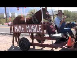 Future job growth over the next ten years is predicted to be 50.6%, which is higher than the us average of 33.5%. A Tour Of Apache Junction Arizona Youtube