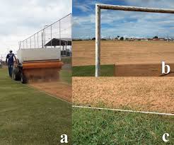 Revitalization Of An Amateur Sports Field With Emerald Grass