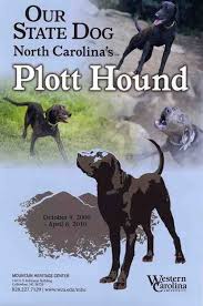 Plott Hounds Plott Hound Hound Puppies Hound