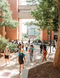 2024 UMBC Student Honors and Awards by UMBC - University of Maryland,  Baltimore County - Issuu
