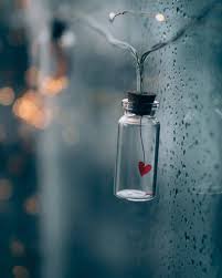 1 850 Likes 11 Comments All Kinds Of Magic Allkindsofmagic On Ins In 2020 Flower Phone Wallpaper Beautiful Wallpapers Backgrounds Cellphone Wallpaper Backgrounds