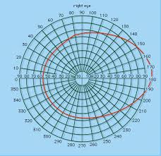 perimeter eye testing britannica