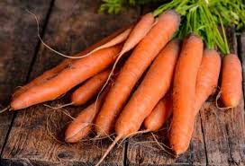 How our ancestors stored meat without refrigeration. How And Where To Store Carrots In The Refrigerator Is It Possible To Freeze Put Peeled Unwashed