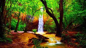 Relaxing Zen Music And Nature Sounds Wooden Flute And Pan Flute Meditation Sleep Sound Youtube Nature Sounds Naptime Music Pan Flute