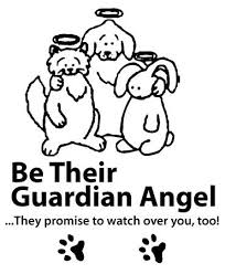 Get To Know Guardian Angels Humane Society Humane Society Animal Stories Beloved Dog