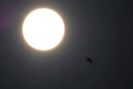 On thursday, june 10, 2021, people across the northern hemisphere will have the chance to experience an annular or partial eclipse of the sun. Si9dhuhrewss5m