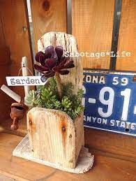 流木 トタン屋根プランターの寄せ植えvol 1 sabotage life 寄せ植え プランター 流木