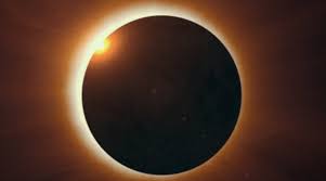 à®ªà®à®²à¯ à®à¯à®à®¾à®© à®ªà® à®®à¯à®à®¿à®µà¯